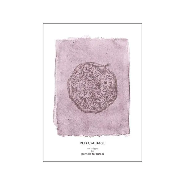 Cabbage Violet Original Artist Poster