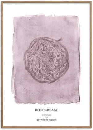 Cabbage Violet Original Artist Poster