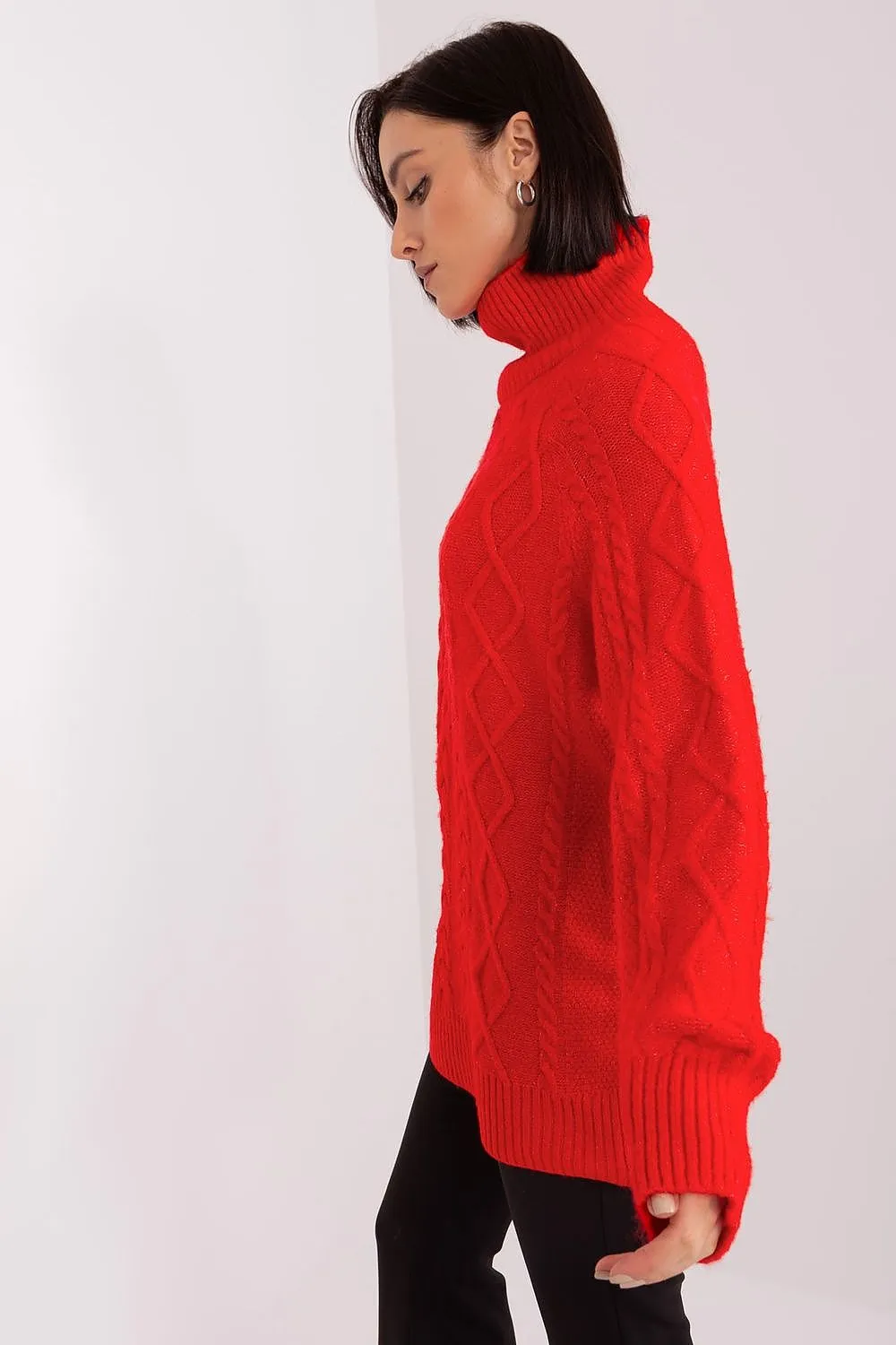 Turtleneck model 189221 AT