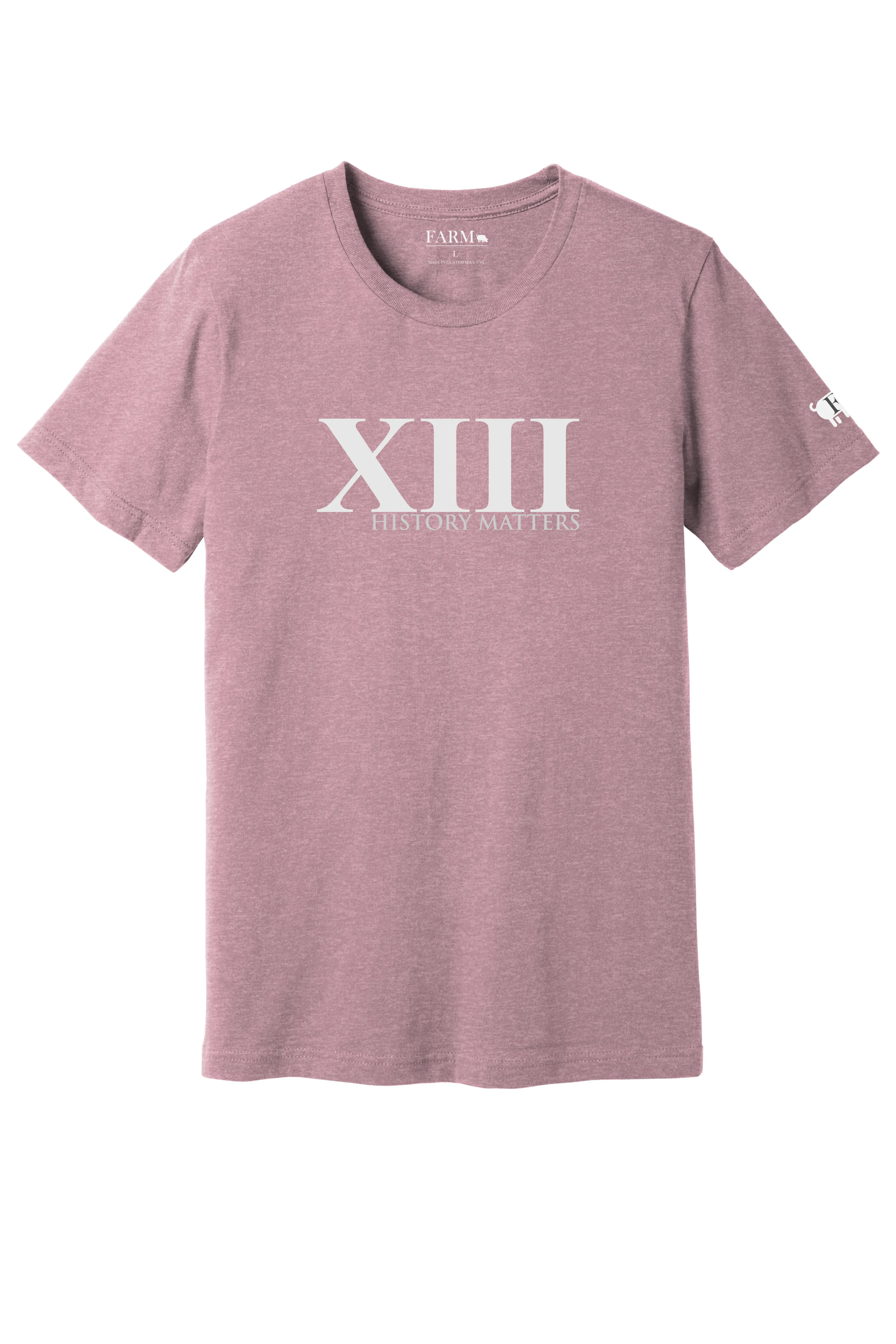 XIII History Matters Thirteenth Amendment T-Shirt Adult