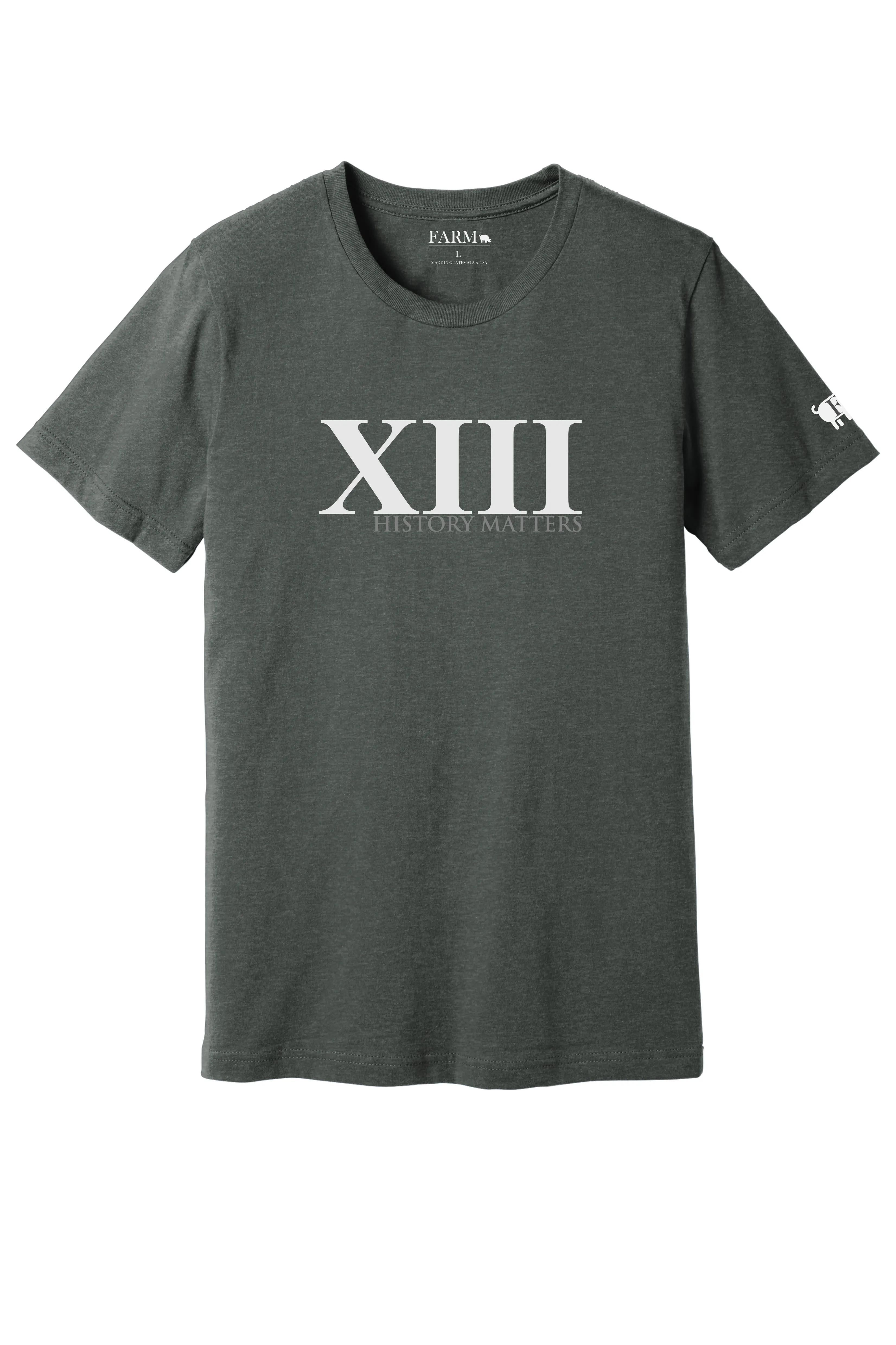 XIII History Matters Thirteenth Amendment T-Shirt Adult