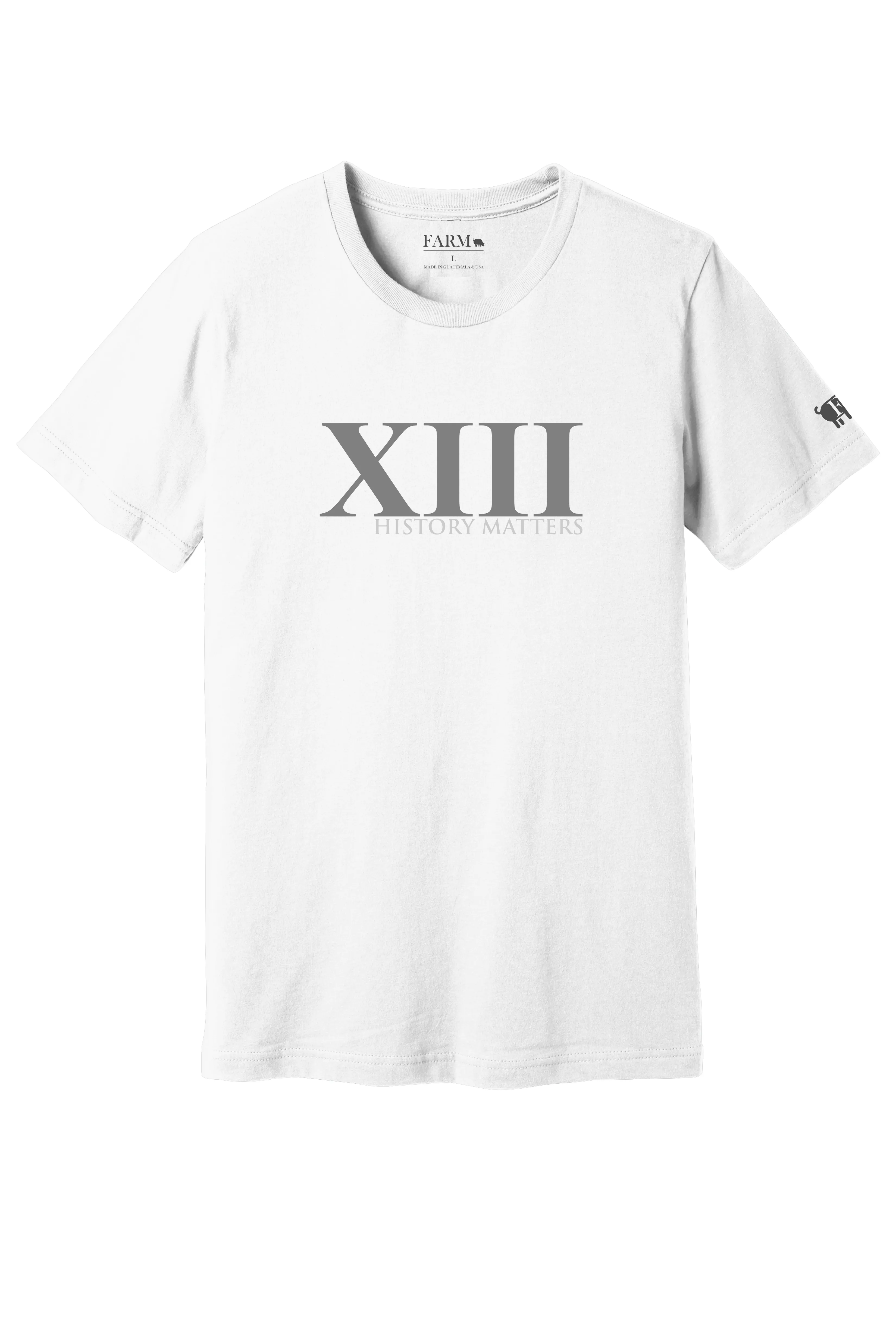 XIII History Matters Thirteenth Amendment T-Shirt Adult
